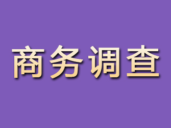 宁国商务调查